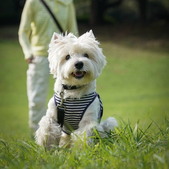 A2da9df9 fe0d 48d4 afa6 cdadb77407df 1536803091242