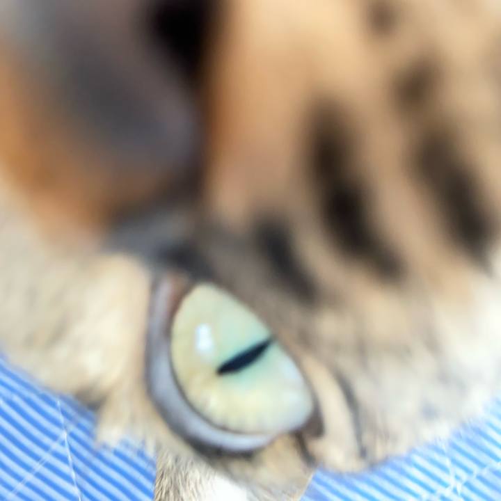 A2dac923 c171 4e59 9898 5c27847c2c19 1693092278933