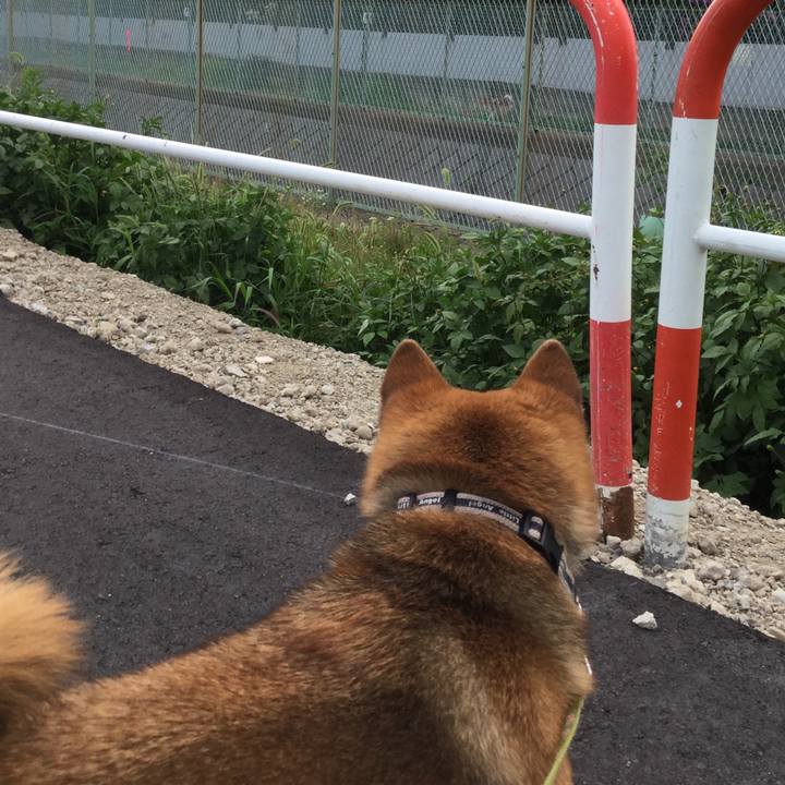 A2dadfa3 29c9 4477 b8a3 028fe0caed2d 1560762155907