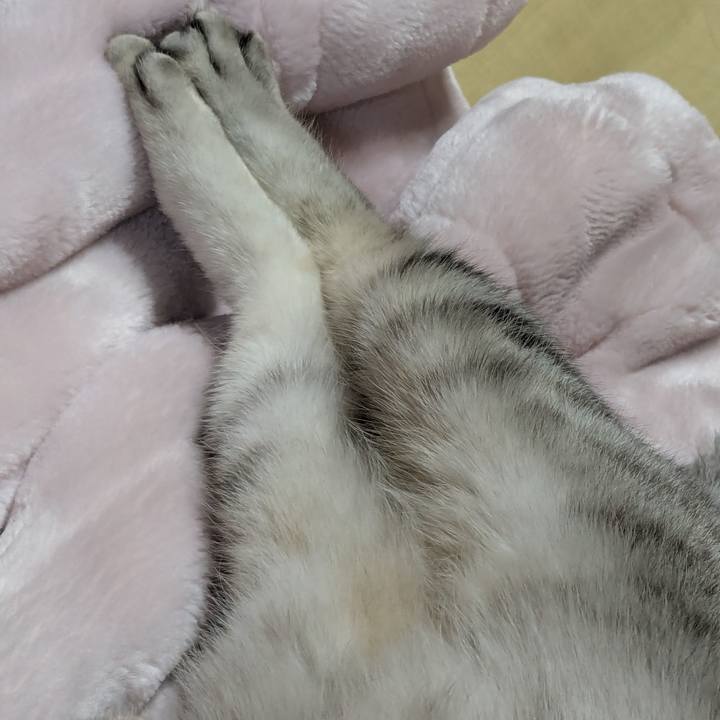 A2daecd9 e83a 4b83 a30a 3d3cc888435e 1750339292493