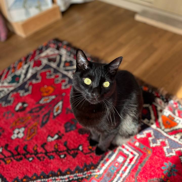 A2daf73e 9414 4ef3 b7f1 0f2b7542c930 1674781738439