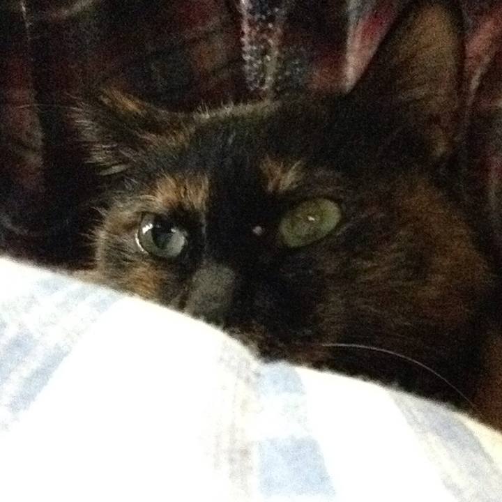 A2db0376 2f56 4118 a658 a7d4f2c702d7 1546902681357