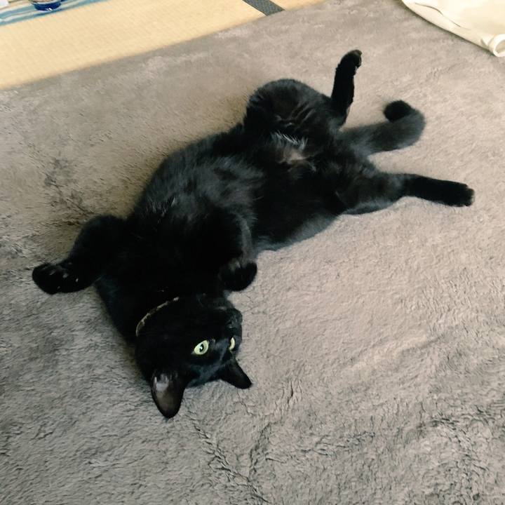 A2dbbce8 1105 4fb1 bfff 90c815976ae1 1543323833971