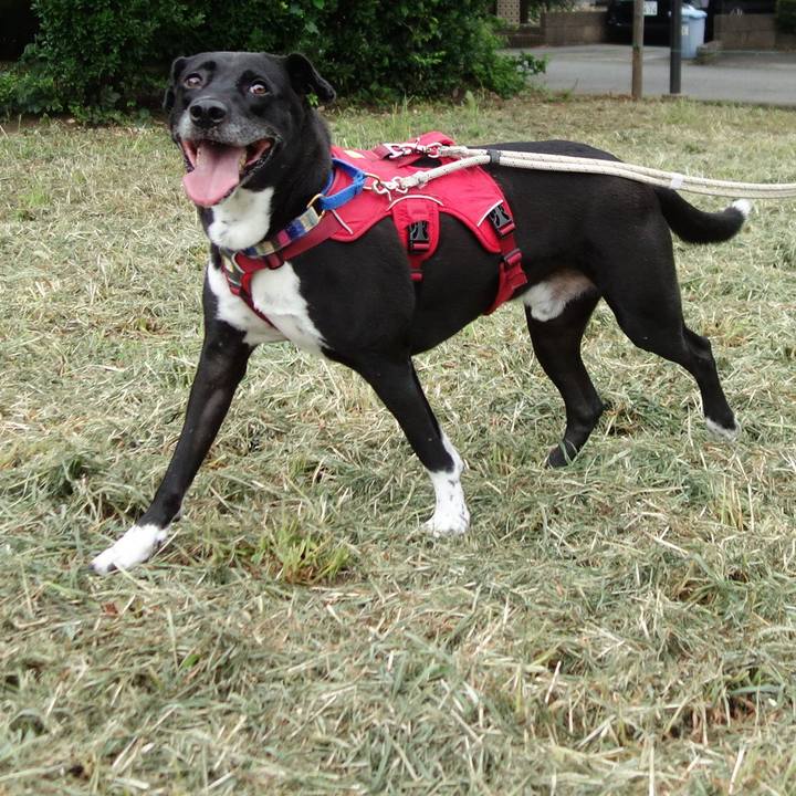 A2dbbde9 56f0 4c9f b6f6 ed390957a72f 1658791163868