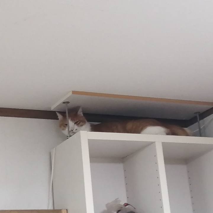 A2dbc451 d395 4971 8ef9 d8cd8232cba0 1626690588478