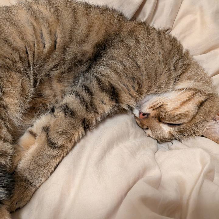 A2dbd56b 0781 4aee a487 d4bc7b648775 1766525166981