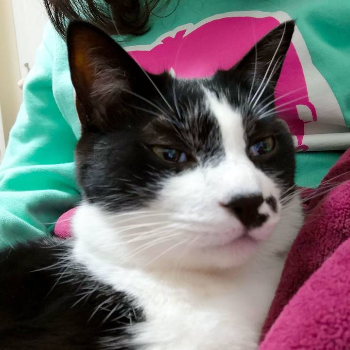 A2dbf4ab 5625 43fa b1a0 79b7d305b671 1547400115695