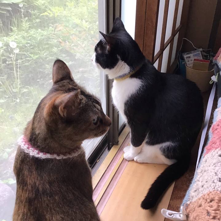 A2dbfbdc 2155 4327 9552 1a99f4e66cbd 1651045833953