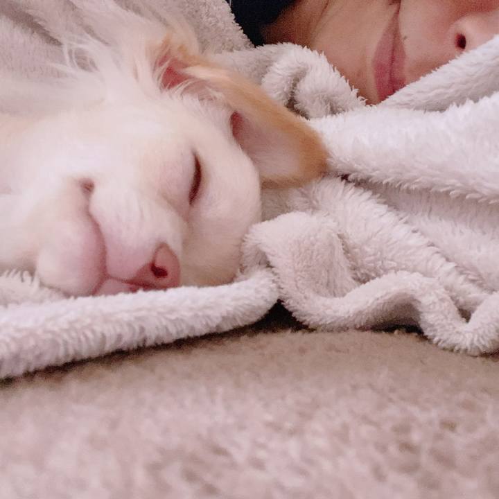 A2dc5ea9 e513 47bb a6ce 492c0cbc6131 1594696466198