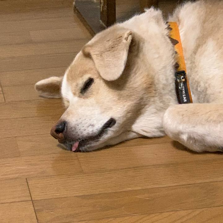 A2dc5f01 ea69 413f 9566 5a269e5feba0 1598712215106