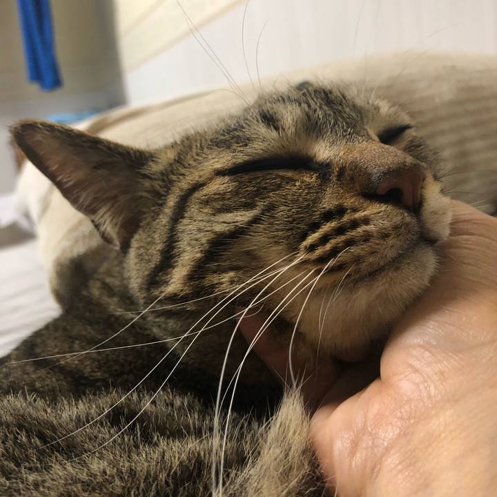 A2dc5fa2 809a 4bff b528 bcdacb0d05f3 1561804620460