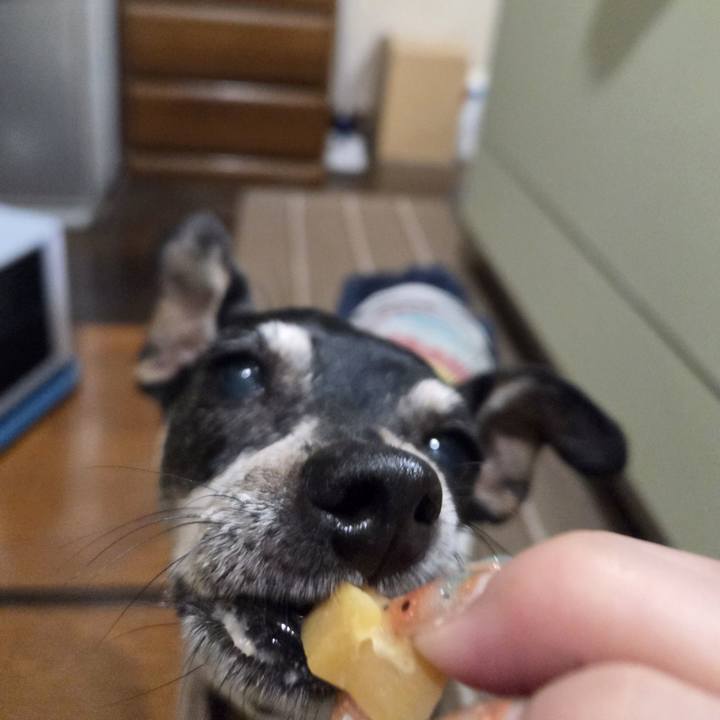 A2dc7b0d fc00 4342 9078 b378597b50b4 1754768348593