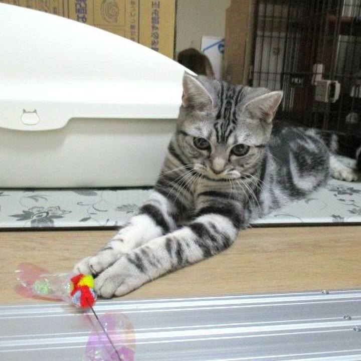 A2dca692 3af1 4d53 96fe 36adcf1e0975 1541154164840