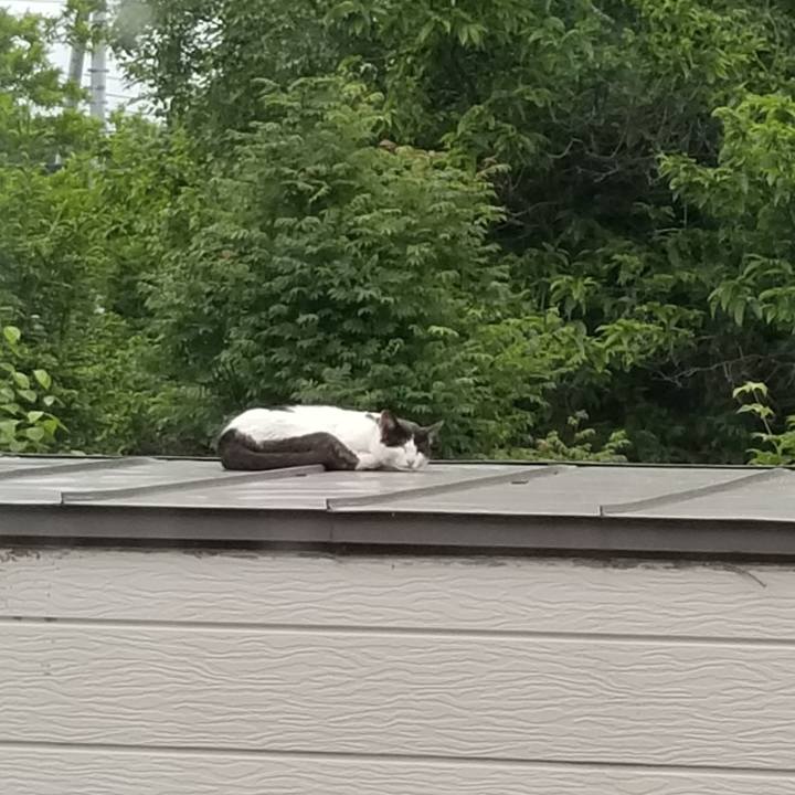 A2dca80c fd7e 4c11 9302 5b7a6f8cd9fb 1593094562675