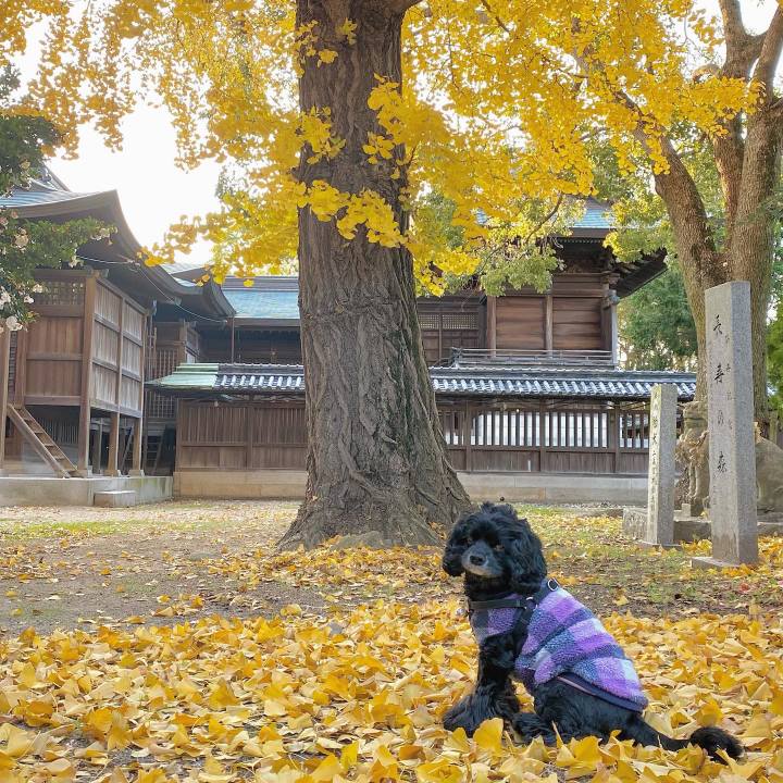 A2dcfc4b c01e 459f 8756 6e84f3bb13ad 1639573830591