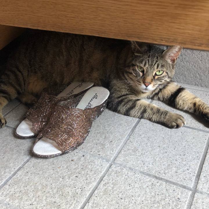 A2dd01a9 7669 4ded a8a1 8f1ece6f44ce 1528803762838