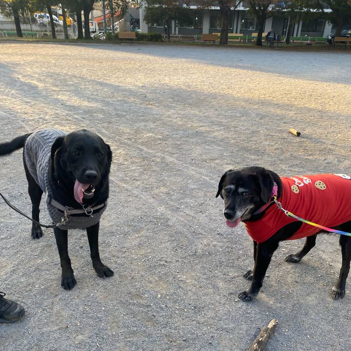 A2dd058f b942 4a81 8282 133cbc7d7aeb 1699973543794