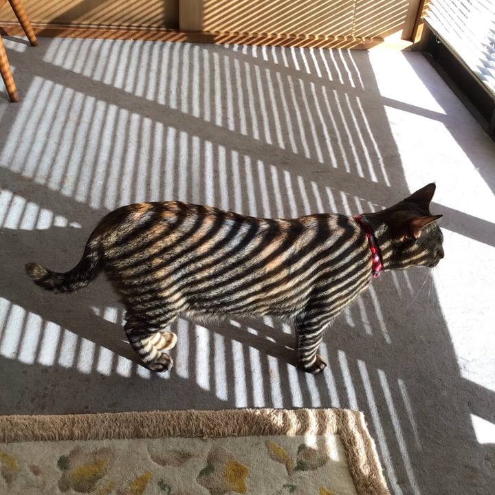 A2dd1bf9 d87e 4f7c bb0a e810d6fb532a 1606538472552