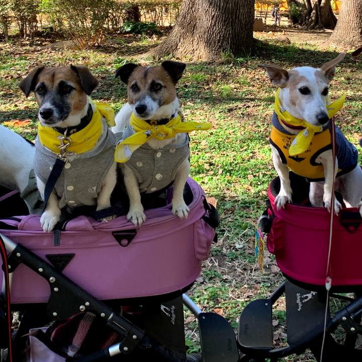 A2dd35de 5e2e 47d4 afe8 44d7a83ae24e 1748657835593