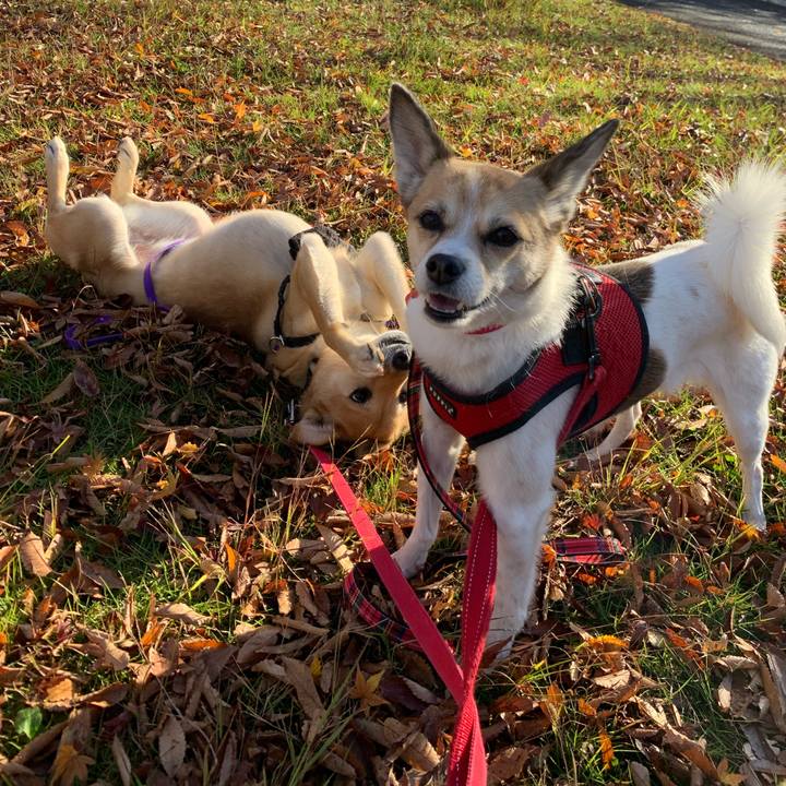 A2dd3e96 1524 449f 9ad9 156d149a58dc 1575366651765