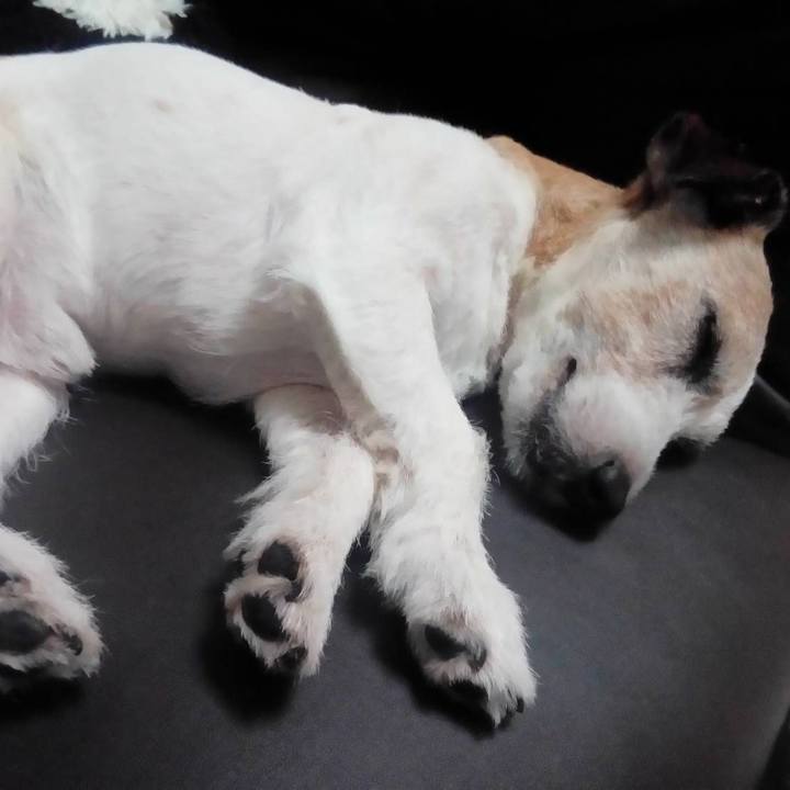 A2dd46c5 0dbe 4d7f 9508 39b8a5473e31 1565344897228