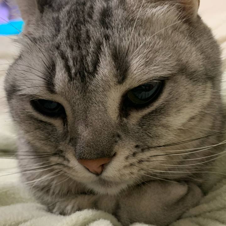 A2dd68b6 6765 4547 b1dc db8ebe18e6d4 1615036731893