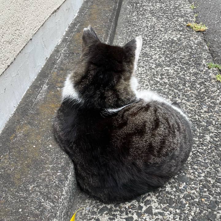 A2dda963 4655 444c a9c1 df6f9febe8a4 1619607838045