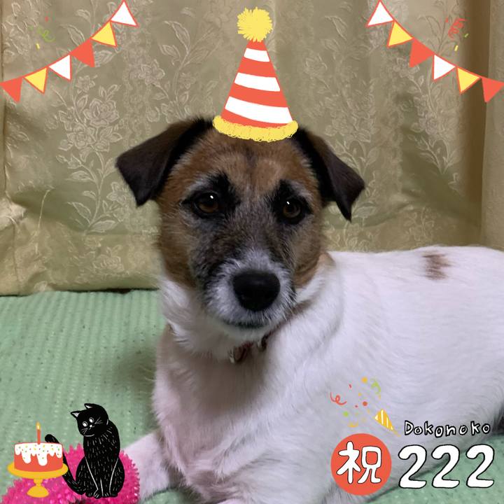 A2ddcecc 37e1 4906 9c8b 9cb46fe23386 1645511769746