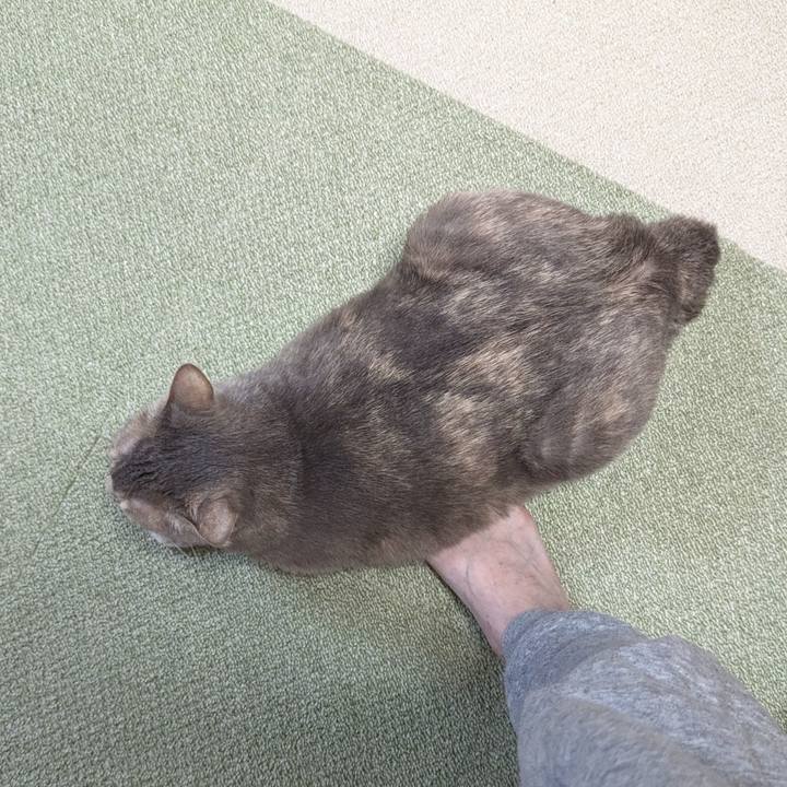 A2ddf76e 9b7f 4124 a173 c9f1f85fa5a6 1712727117588