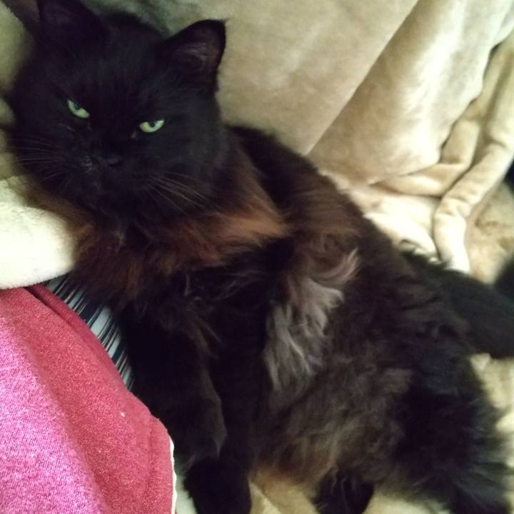 A2de0349 a6b0 4f02 89e0 88258daf3f87 1634712564476