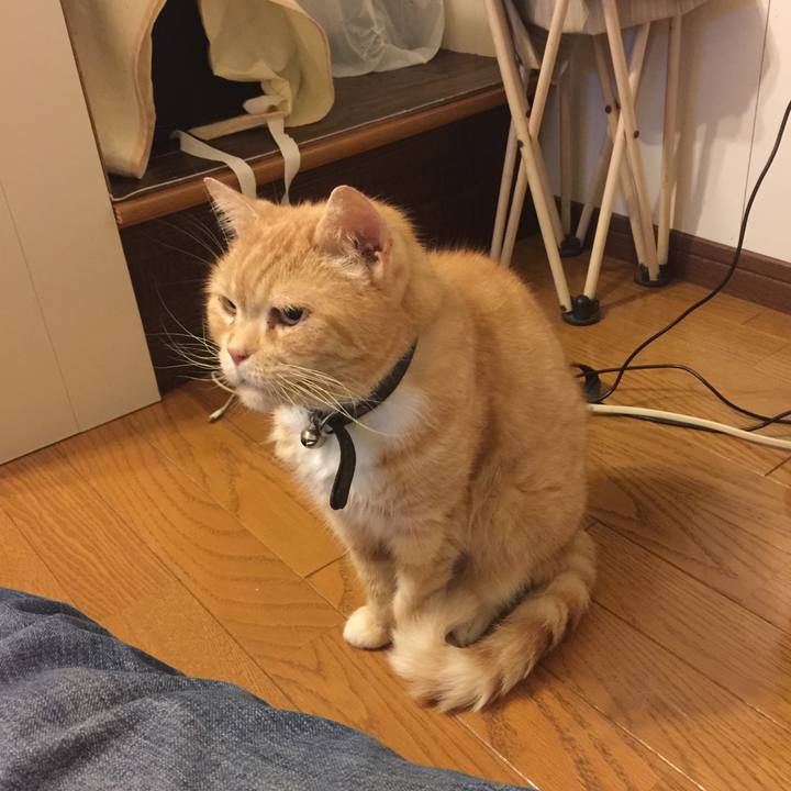 A2de161b 03d0 4f87 bc00 0c08cc81e7fe 1562679645675