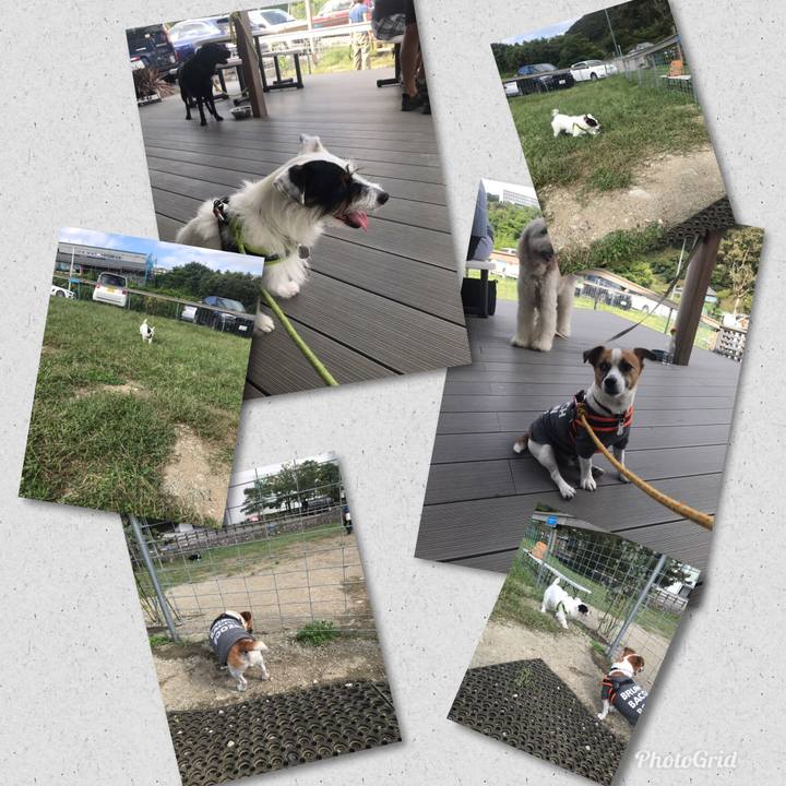 A2de2c58 610e 4d99 8a4e 1b43a88f41c0 1537686945145