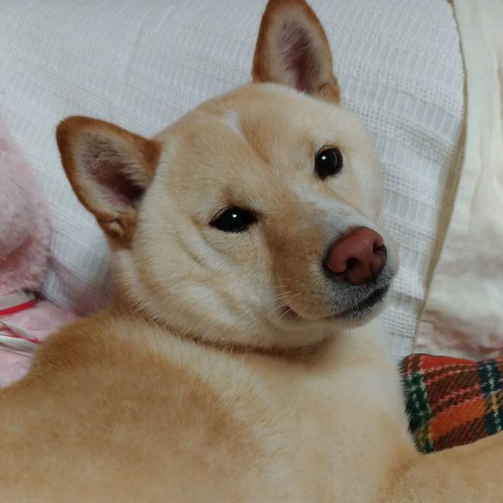 A2de3fc3 de62 47b3 9767 fda736e6bd91 1525000076550