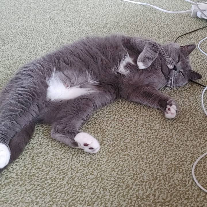 A2de72f6 7e65 4b86 b766 ffba2ee9022e 1748749626004