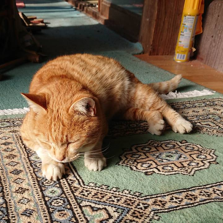 A2de8720 81c5 490b ad7f 621e1934b077 1577581760129