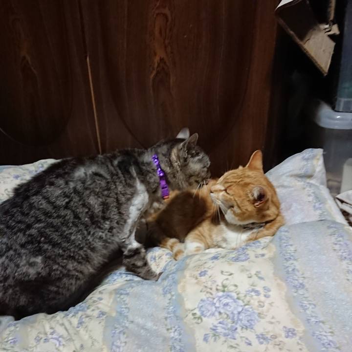 A2df0824 2b9d 4368 a9a1 e685c935b07b 1589630200588