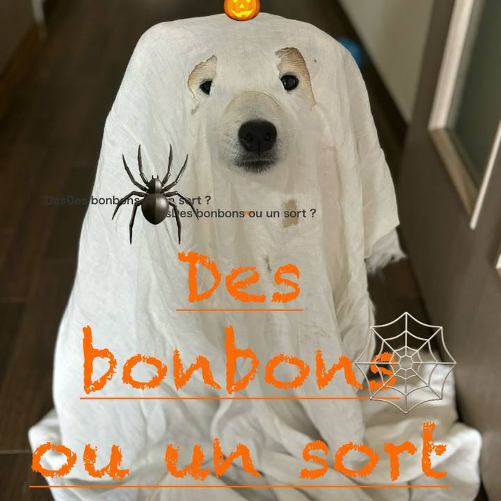 A2df106b aac6 42e1 a14d ecb2afe96624 1729654324018