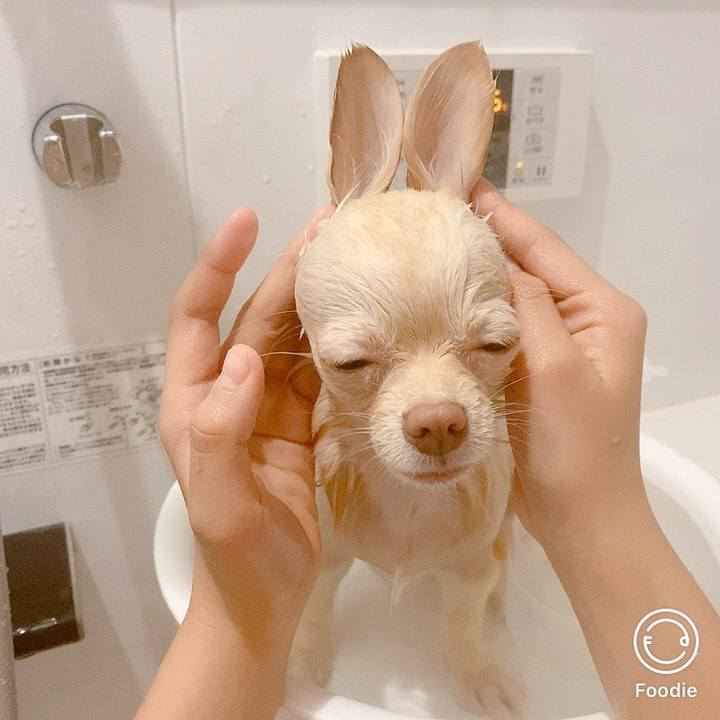 A2df1f61 aceb 4f54 9730 5c0f0268a24a 1608028945309