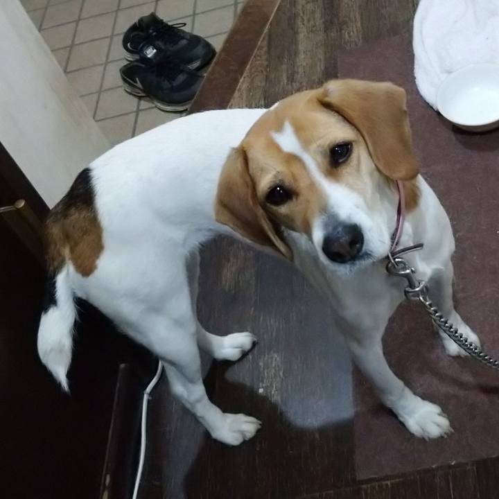 A2df4180 a491 4839 96de 143f23940854 1582798098339