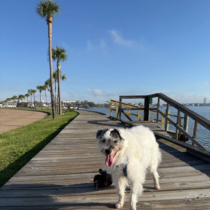 A2df46bf e09f 48e0 b8a9 5bc4cc1a682c 1774049032487