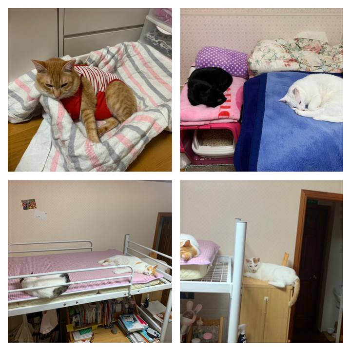 A2df7c42 707f 432b bd6d b9ac1d7471ca 1576424381919