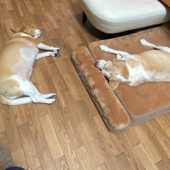 A2dfb788 3274 4595 8bc8 08ec9a7c374e 1633393640152