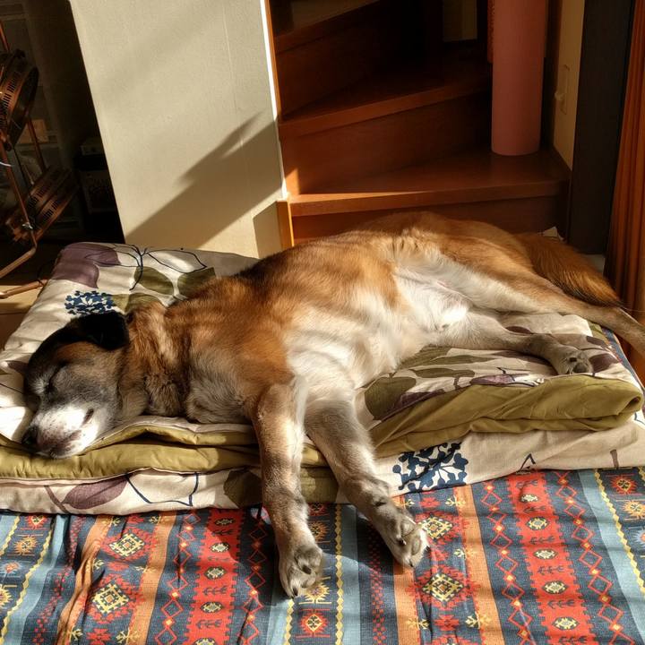 A2dfdabc cf5d 4eb7 8716 e80491eb1871 1546066118637