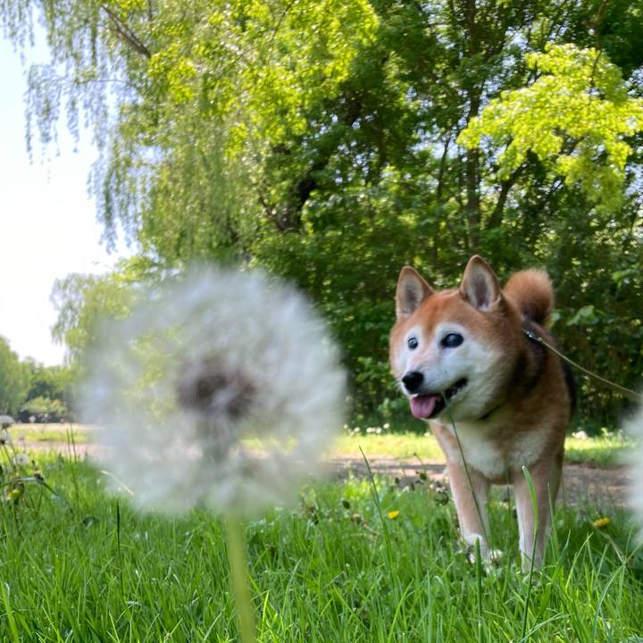 A2e033c1 2a82 4ff3 9d5d 64c8f03028d1 1714276933895