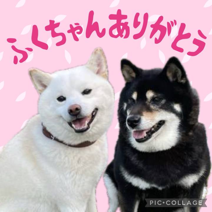 A2e0494b 96ff 46aa 995a bf443368e2ef 1701297669796