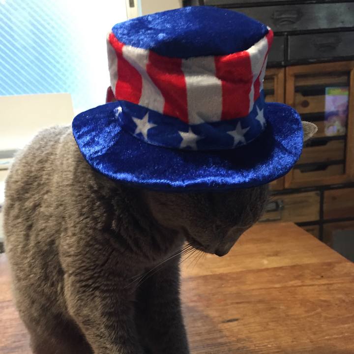 A2e07964 740c 4f44 bab5 85eb94dd1732 1564010005381