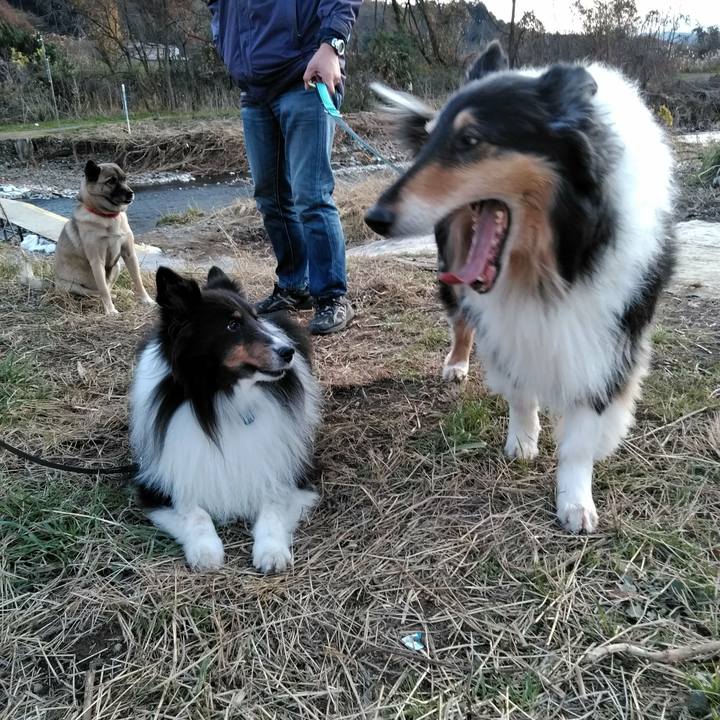 A2e0a692 1523 4fac 9dfb d495ae9ca74f 1512265262622