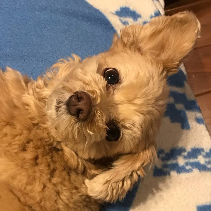 A2e0ad69 381b 47cc 93f0 9cffb912a8dd 1517405421645