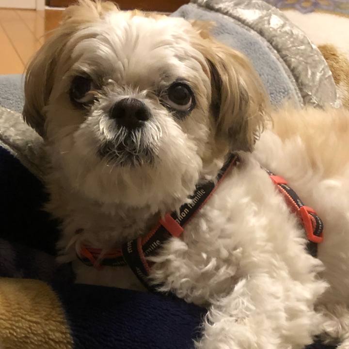 A2e0bead 3ca2 44ee 8624 7ece10cca060 1619646733366