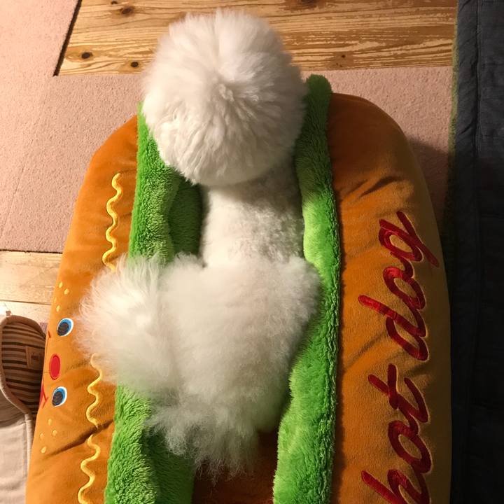 A2e1204f 0163 474c 9ad2 c1cc222a70e7 1531218857352